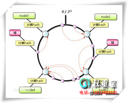 seo硱侺ֿ?